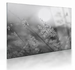 Staklena slika - Jesenja livada (70x50 cm)