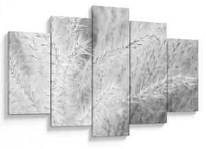 Slika - Pampas trava N⁰1 (150x105 cm)