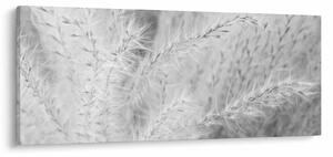 Slika - Pampas trava N⁰1 (120x50 cm)