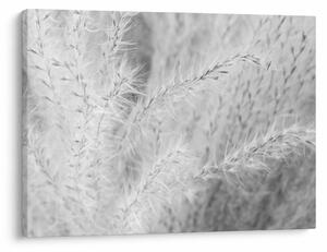Slika - Pampas trava N⁰1 (70x50 cm)