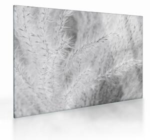 Staklena slika - Pampas trava N⁰1 (70x50 cm)