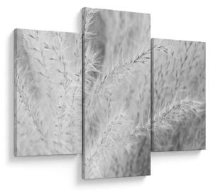 Slika - Pampas trava N⁰1 (90x60 cm)