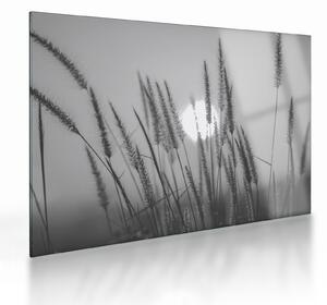 Staklena slika - Livada u zalasku sunca (70x50 cm)