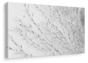 Slika - Pampas trava N⁰2 (90x60 cm)