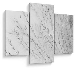 Slika - Pampas trava N⁰2 (90x60 cm)