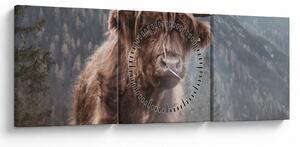 Slika - Highlander krava (sa satom) (90x30 cm)