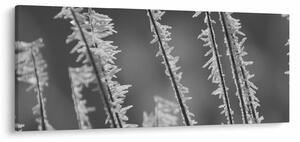 Slika - Ledeno hladno (120x50 cm)