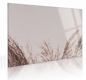 Staklena slika - Osušena trava (70x50 cm)