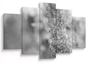 Slika - Boho pampas trava (150x105 cm)