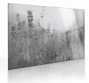 Staklena slika - Lavanda (70x50 cm)