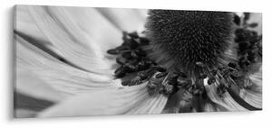 Slika - Cvijet u crno-bijeloj boji (120x50 cm)
