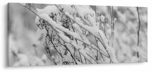 Slika - Snježene grane (120x50 cm)