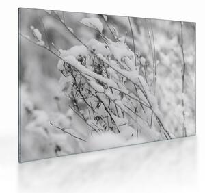Staklena slika - Snježene grane (70x50 cm)