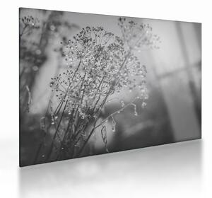 Staklena slika - Livada poslije kiše (70x50 cm)