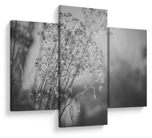 Slika - Livada poslije kiše (90x60 cm)