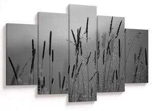 Slika - Vlati trave (150x105 cm)