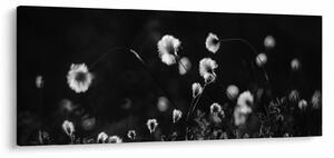 Slika - Livada s pamučnicom N⁰1 (120x50 cm)
