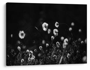 Slika - Livada s pamučnicom N⁰1 (70x50 cm)