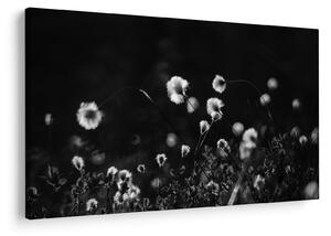 Slika - Livada s pamučnicom N⁰1 (90x60 cm)