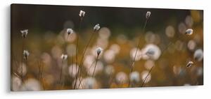 Slika - Livada s pamučnicom N⁰2 (120x50 cm)
