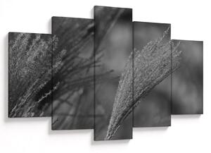 Slika - Osušena pampas trava (150x105 cm)