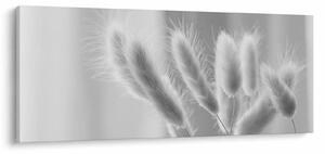 Slika - Zečji rep trava (120x50 cm)