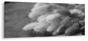 Slika - zečji rep trava na stolu (120x50 cm)