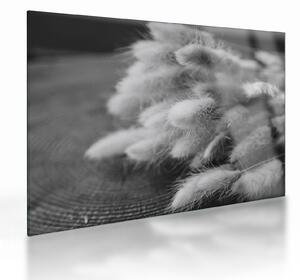 Staklena slika - zečji rep trava na stolu (70x50 cm)
