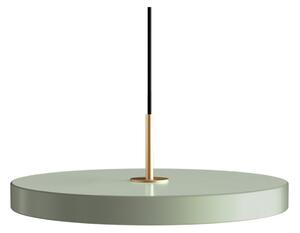Asteria Plus Visilica Medium Nuance Olive/Brass - UMAGE