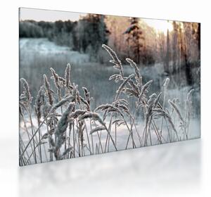 Staklena slika - Smrznuta livada (70x50 cm)