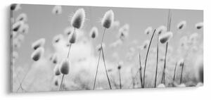 Slika - Boho trava od zečjeg repa (120x50 cm)