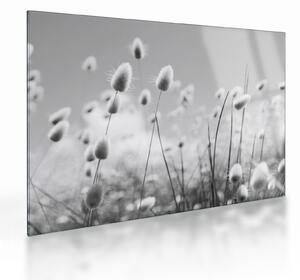 Staklena slika - Boho trava od zečjeg repa (70x50 cm)