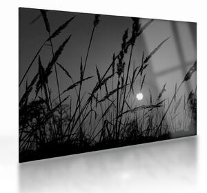 Staklena slika - Livada sa zalaskom sunca (70x50 cm)