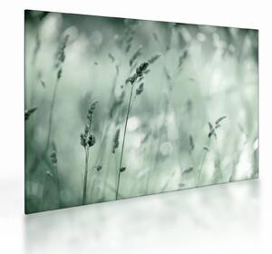 Staklena slika - Zelena livada (70x50 cm)