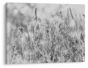 Slika - Hladna zima (70x50 cm)