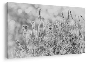 Slika - Hladna zima (90x60 cm)