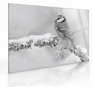Staklena slika - Ptica na grani (70x50 cm)