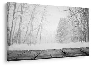 Slika - Drveni mol zimi (90x60 cm)
