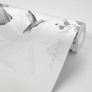 Tapeta listovi s kolibrijima u crno-bijeloj boji