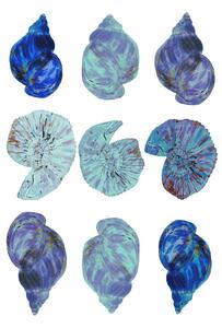 Ilustracija Blue Sea Shells, Poster cartissi
