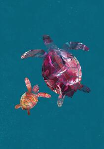 Ilustracija Colourful Turtles, Sarah Manovski