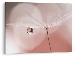 Slika - Kapljica rose (70x50 cm)