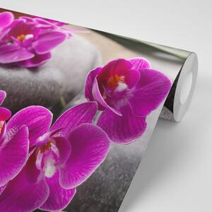 Fototapeta divna orhideja i Zen kamenje