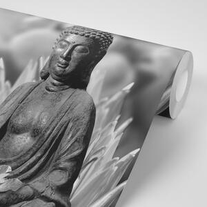 Fototapeta mirni crno-bijeli Buddha