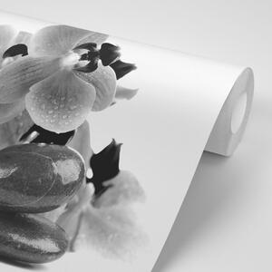 Fototapeta crno-bijelo kamenje i orhideja
