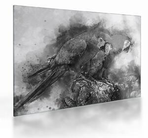 Staklena slika - Vodene boje papige (70x50 cm)