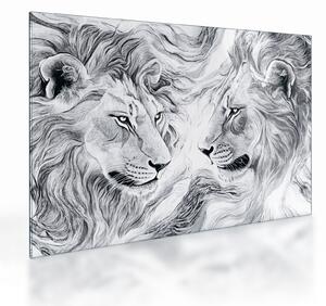 Staklena slika - Nacrtane glave lavova (70x50 cm)