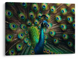Slika – Paun (70x50 cm)
