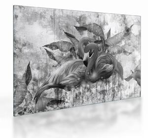 Staklena slika - grafit flamingo (70x50 cm)