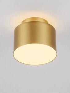 OZEN STROPNA LAMPA ZLATNA LED 16W 787lm 3000K IP20 NL9695170